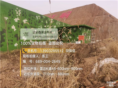 蚌埠星空迷彩墙施工队